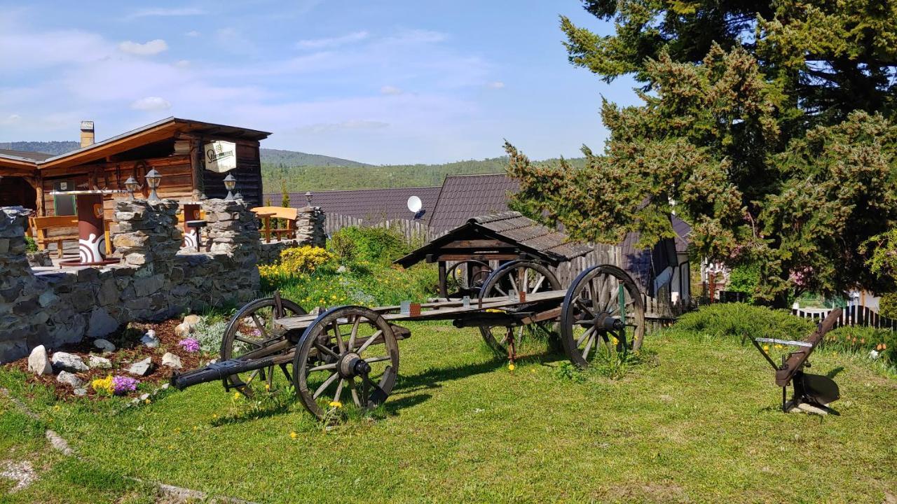 Pod Hradom Restaurant&Pension Topolcany Exterior foto